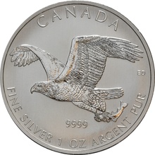 2014 1oz Canadian Sea Eagle Silver Coin