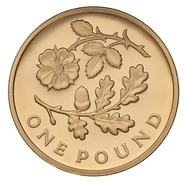 2013 Proof Gold 1 Pound Coin England Floral