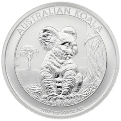 Australian Koala