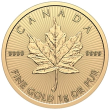 2025 MapleGram 25 x 1g Gold Coins