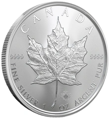 Silver Canadian Maple