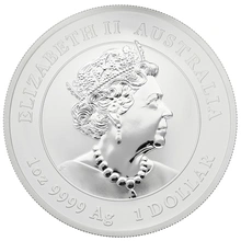 2020 Year of the Mouse Silver Coin 1oz Perth Mint Australian Lunar Series