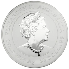 2021 Year of the Ox Silver Coin 1kg Perth Mint Australian Lunar Series