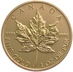 Gold Maple