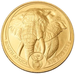 South African Big Five Series