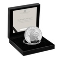 2023 Boxed Silver Coins