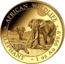 2026 1oz African Wildlife Elephant Gold Coin