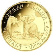 2024 Gold Coins