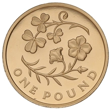 2014 Proof Gold £1 Pound Coin Northern Ireland Floral Boxed