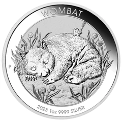 Australian Wombat