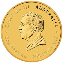 2026 Year of the Horse Gold Coin 2oz Perth Mint Australian Lunar Series